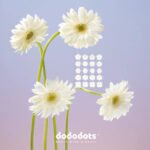 DODODOTS PURE PETALS 20 UND - Imagen 4