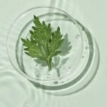 ROUND LAB  MUGWORT CALMING SOOTHING GEL 150 ML - Imagen 2